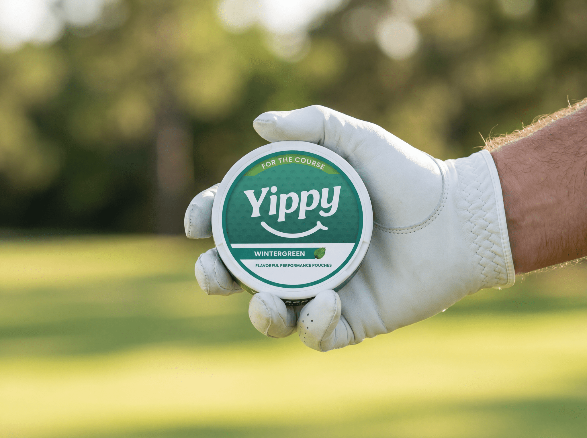 Yippy Variety Pack (3 Pack)